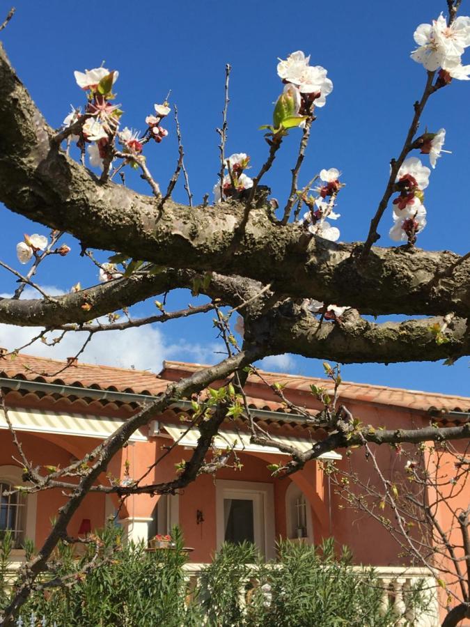 La Closerie Hotel Villeneuve-lès-Béziers Eksteriør billede